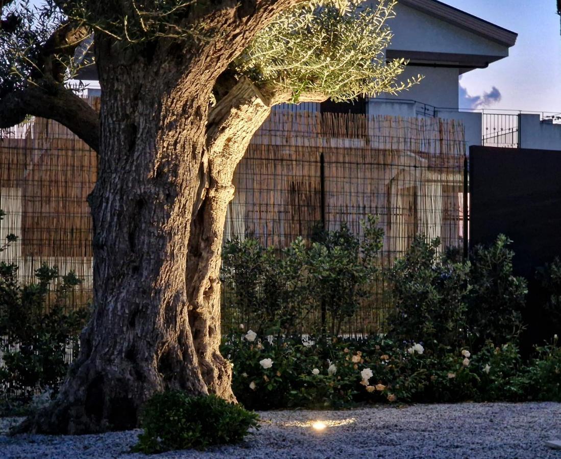Ortosalato Agricamping Torregrotta Exterior foto
